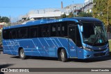 Ônibus Particulares 2501 na cidade de Caxias do Sul, Rio Grande do Sul, Brasil, por Jovani Cecchin. Número da foto: #13033580.