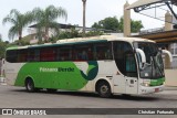 Pássaro Verde 29018 na cidade de Coimbra, Minas Gerais, Brasil, por Christian  Fortunato. Número da foto: #:id.