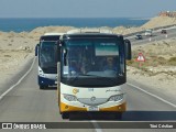 Go Bus 556 na cidade de Cairo, Egito, por Tôni Cristian. Número da foto: #13032954.