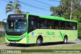 Viação Falcão RJ 179.013 na cidade de Resende, Rio de Janeiro, Brasil, por Paulo Henrique Pereira Borges. Número da foto: #13032882.