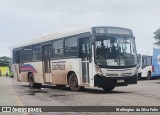 Transmarle Turismo > TransMarlen 2118 na cidade de Vitória, Espírito Santo, Brasil, por Wellington  da Silva Felix. Número da foto: #13033569.