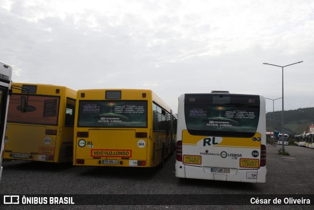 RL - Rodoviária de Lisboa 866 na cidade de Lisbon, Lisbon, Portugal, por César de Oliveira. Número da foto: #13034841.