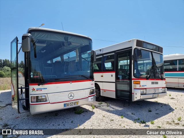 Rodoviária do Lis 4309 na cidade de Leiria, Leiria, Portugal, por César de Oliveira. Número da foto: #13034492.