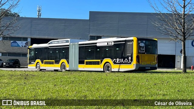 Companhia Carris de Ferro de Lisboa 2828 na cidade de Lisbon, Lisbon, Portugal, por César de Oliveira. Número da foto: #13034540.