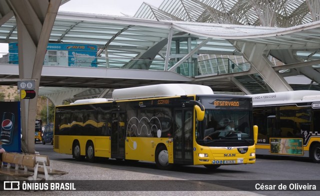 RL - Rodoviária de Lisboa 695 na cidade de Lisbon, Lisbon, Portugal, por César de Oliveira. Número da foto: #13034575.