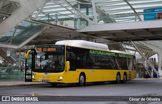 RL - Rodoviária de Lisboa 695 na cidade de Lisbon, Lisbon, Portugal, por César de Oliveira. Número da foto: #13034581.