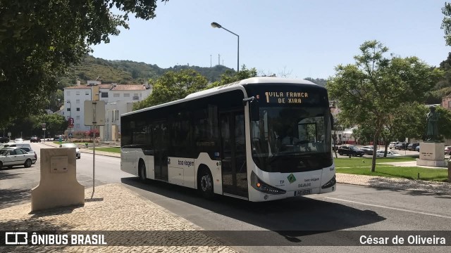 Boa Viagem 0643 na cidade de Alenquer, Lisbon, Portugal, por César de Oliveira. Número da foto: #13034474.