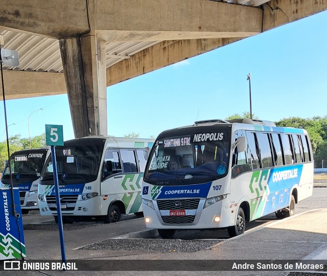 Coopertalse 107 na cidade de Aracaju, Sergipe, Brasil, por Andre Santos de Moraes. Número da foto: #13034976.