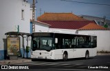 RL - Rodoviária de Lisboa 280 na cidade de Lisbon, Lisbon, Portugal, por César de Oliveira. Número da foto: #13034801.