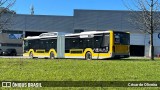 Companhia Carris de Ferro de Lisboa 2828 na cidade de Lisbon, Lisbon, Portugal, por César de Oliveira. Número da foto: #13034540.