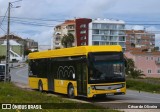 RL - Rodoviária de Lisboa 2607 na cidade de Lisbon, Lisbon, Portugal, por César de Oliveira. Número da foto: #13034860.