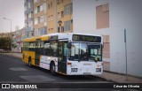 RL - Rodoviária de Lisboa 586 na cidade de Lisbon, Lisbon, Portugal, por César de Oliveira. Número da foto: #13034818.