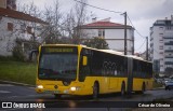 RL - Rodoviária de Lisboa 292 na cidade de Lisbon, Lisbon, Portugal, por César de Oliveira. Número da foto: #13034811.
