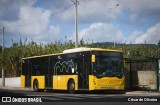 RL - Rodoviária de Lisboa 284 na cidade de Lisbon, Lisbon, Portugal, por César de Oliveira. Número da foto: #13034798.