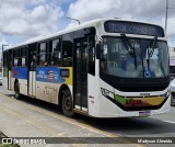 Taguatur - Taguatinga Transporte e Turismo 35.536 na cidade de São Luís, Maranhão, Brasil, por Madyson Almeida. Número da foto: #13035248.