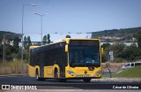 RL - Rodoviária de Lisboa 262 na cidade de Lisbon, Lisbon, Portugal, por César de Oliveira. Número da foto: #13034664.