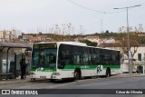 RL - Rodoviária de Lisboa 306 na cidade de Lisbon, Lisbon, Portugal, por César de Oliveira. Número da foto: #13034806.