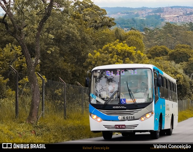 Transwolff Transportes e Turismo 6 6116 na cidade de São Paulo, São Paulo, Brasil, por Valnei Conceição. Número da foto: #13035959.