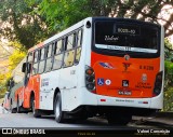 Alfa Rodobus > CooperAlfa 8 6280 na cidade de São Paulo, São Paulo, Brasil, por Valnei Conceição. Número da foto: #13035975.