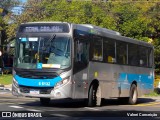 Transwolff Transportes e Turismo 6 6132 na cidade de São Paulo, São Paulo, Brasil, por Valnei Conceição. Número da foto: #13035906.