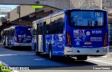 Next Mobilidade - ABC Sistema de Transporte 81.309 na cidade de São Caetano do Sul, São Paulo, Brasil, por Cauan Ferreira. Número da foto: #13036456.