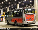 Alfa Rodobus > CooperAlfa 8 6174 na cidade de São Paulo, São Paulo, Brasil, por Valnei Conceição. Número da foto: #13035984.
