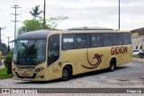 Gidion Transporte e Turismo 21902 na cidade de Joinville, Santa Catarina, Brasil, por Diego Lip. Número da foto: #13040056.