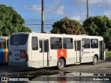 Borborema Imperial Transportes 401 na cidade de Jaboatão dos Guararapes, Pernambuco, Brasil, por Wallace Vitor. Número da foto: #:id.