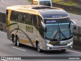 Gold Turismo e Fretamento 8000 na cidade de Resende, Rio de Janeiro, Brasil, por Renato Brito. Número da foto: #:id.