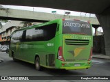 Pássaro Verde 16911 na cidade de Belo Horizonte, Minas Gerais, Brasil, por Douglas Célio Brandao. Número da foto: #:id.