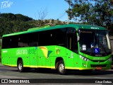 Pássaro Verde 19171 na cidade de Sabará, Minas Gerais, Brasil, por César Ônibus. Número da foto: #13039871.