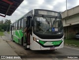 Viação Elite RJ 176.080 na cidade de Pinheiral, Rio de Janeiro, Brasil, por Evelyn Lima. Número da foto: #13037982.