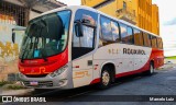Rouxinol 2509 na cidade de Contagem, Minas Gerais, Brasil, por Marcelo Luiz. Número da foto: #13040167.