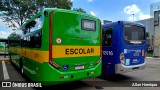 Transportes Capellini 12374 na cidade de Paulínia, São Paulo, Brasil, por Allan Henrique. Número da foto: #13038247.