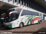 Empresa de Transportes Andorinha 7202 na cidade de Presidente Venceslau, São Paulo, Brasil, por Carlos Morais. Número da foto: #13038203.