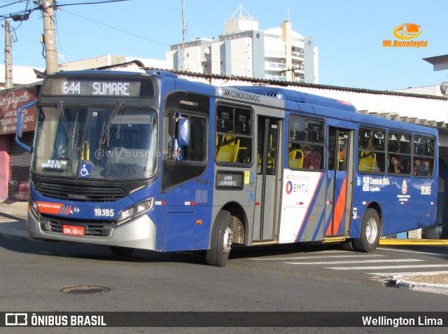 Transportes Capellini 19.185 na cidade de Sumaré, São Paulo, Brasil, por Wellington Lima. Número da foto: #13041774.