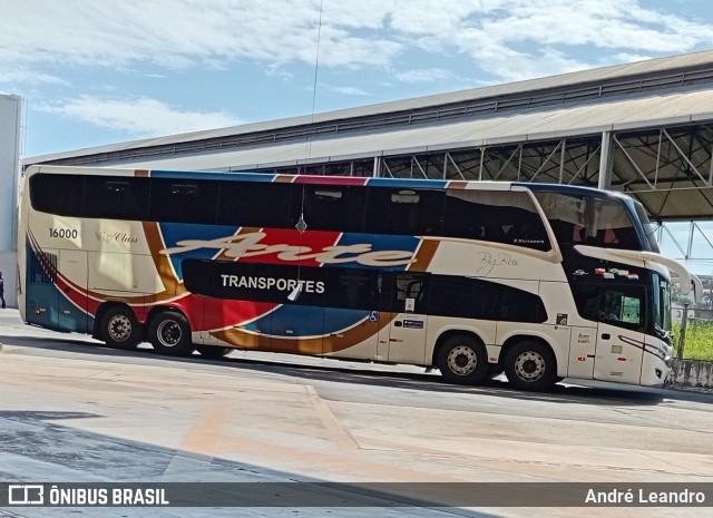 Arte Transportes e Turismo 16000 na cidade de Limeira, São Paulo, Brasil, por André Leandro. Número da foto: #13043389.