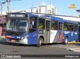 Transportes Capellini 19.185 na cidade de Sumaré, São Paulo, Brasil, por Wellington Lima. Número da foto: #13041774.