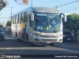 Transportes Capellini 13486 na cidade de Santa Bárbara d`Oeste, São Paulo, Brasil, por Fernando Félix Ferreira Lima. Número da foto: #13041005.