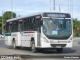 Borborema Imperial Transportes 226 na cidade de Jaboatão dos Guararapes, Pernambuco, Brasil, por Glauber Medeiros. Número da foto: #:id.