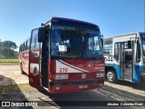 Braga Turismo 370 na cidade de Artur Nogueira, São Paulo, Brasil, por Jônatas  Colombo Boer. Número da foto: #13040931.