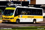 TransBrasil 6096 na cidade de Toledo, Paraná, Brasil, por Flávio Oliveira. Número da foto: #13042485.