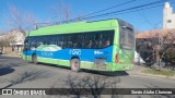 COLE Neuquén 200 na cidade de Neuquén, Confluencia, Neuquén, Argentina, por Simón Aluhe Choiman. Número da foto: #13043305.