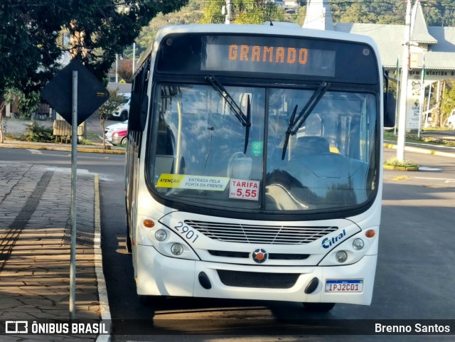 Citral Transporte e Turismo 2901 na cidade de Gramado, Rio Grande do Sul, Brasil, por Brenno Santos. Número da foto: #13046188.