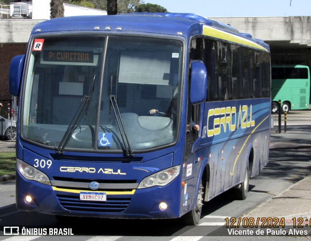 Empresa Curitiba Cerro Azul 309 na cidade de Curitiba, Paraná, Brasil, por Vicente de Paulo Alves. Número da foto: #13045809.