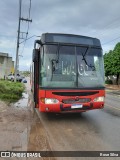 Santiago Transportes 10 na cidade de Muribeca, Sergipe, Brasil, por Rose Silva. Número da foto: #13043858.