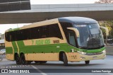 Pássaro Verde 16900 na cidade de Belo Horizonte, Minas Gerais, Brasil, por Luciano Formiga. Número da foto: #13045373.