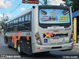 Rápido Campinas 14116 na cidade de Campo Limpo Paulista, São Paulo, Brasil, por Gustavo  Bonfate. Número da foto: #13045745.