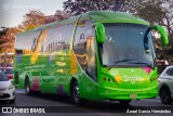 Autobuses Express de Veracruz > Smile Bus 1908 na cidade de Puebla, Puebla, México, por Ángel García Hernández. Número da foto: #13046653.