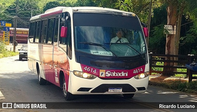 Sabadini Transportes 4614 na cidade de Itapira, São Paulo, Brasil, por Ricardo Luciano. Número da foto: #13049061.